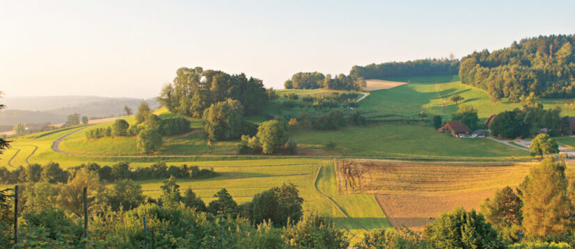 Aussicht-auf-Lohhof